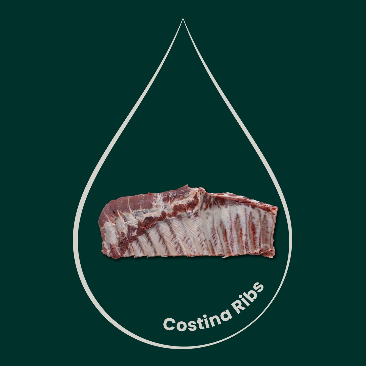 Ribs (Costatine o puntine) di Suino, 5Kg