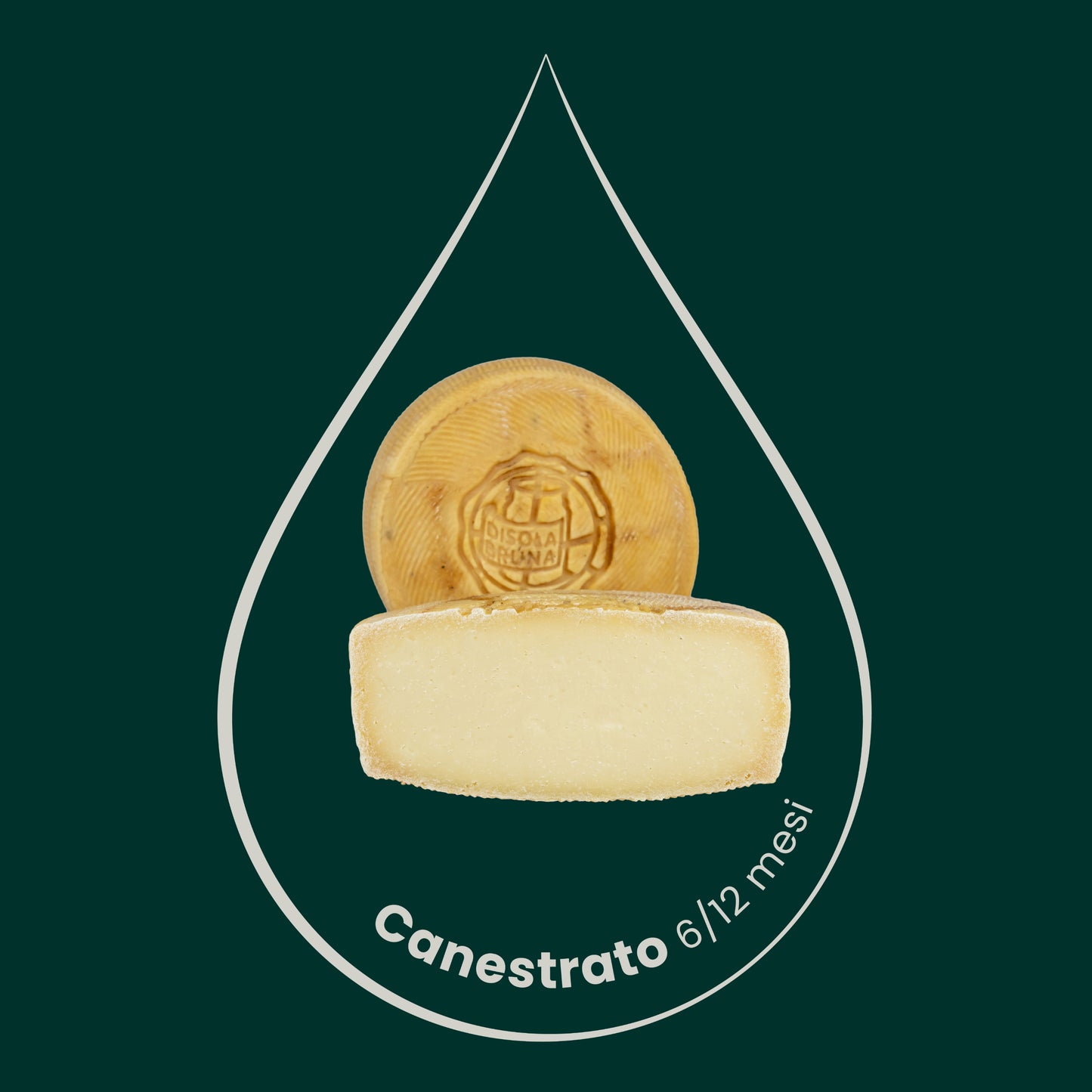 Canestrato stagionato 6/12 Mesi, 5,5kg