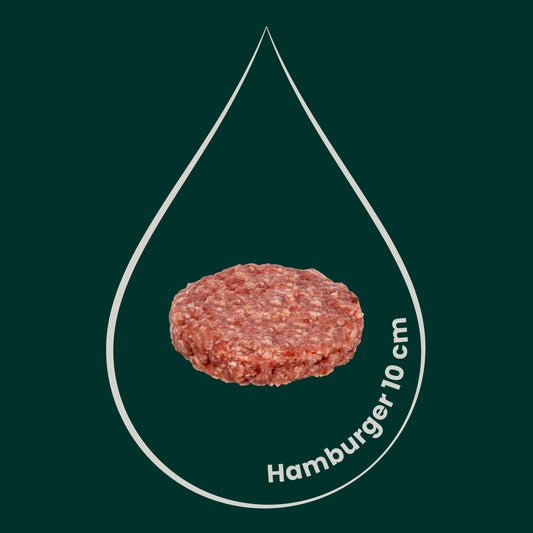 Hamburger (10cm diametro) di Masseria 5 PEZZI, 0,200kg