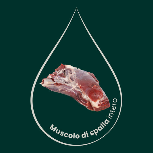 muscolo di spalla, 2,5kg