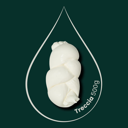 Trecce con Siero Innesto, 2 pezzi da 500gr