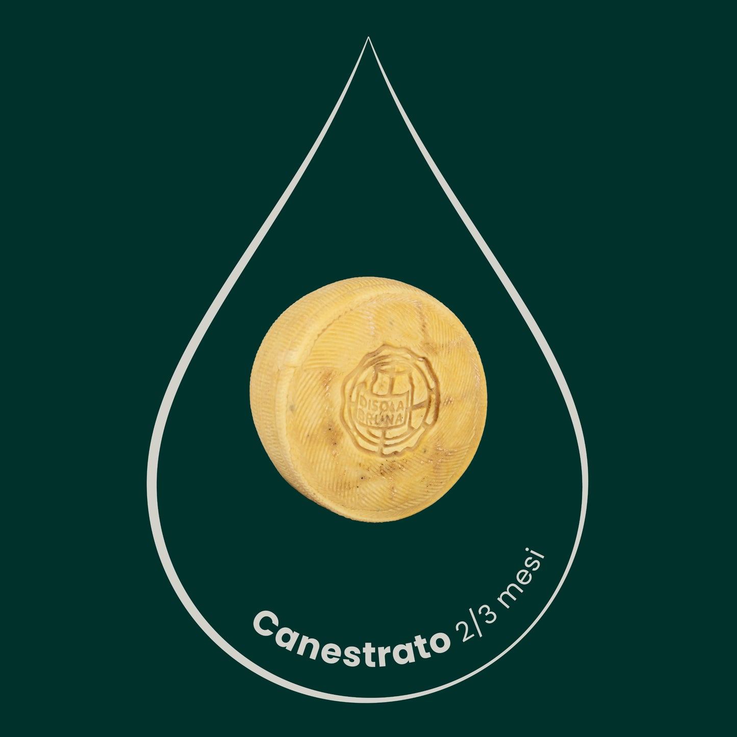 Canestrato stagionato 2/3 Mesi, 6kg