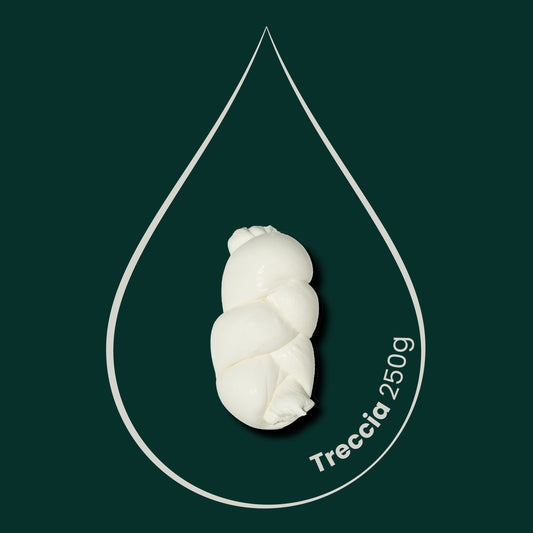 Treccia con Siero Innesto, da 0,250kg